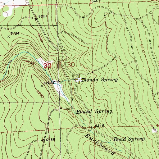 Topographic Map of Blonde Spring, OR