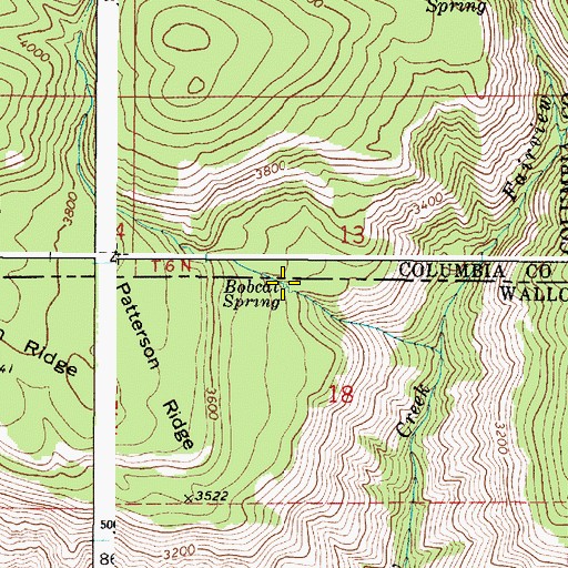 Topographic Map of Bobcat Spring, OR
