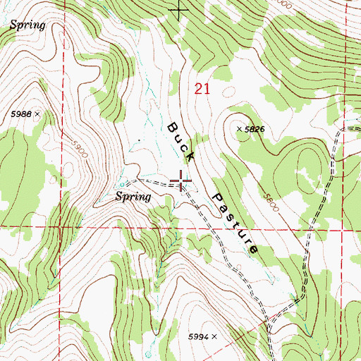 Topographic Map of Buck Pasture, OR