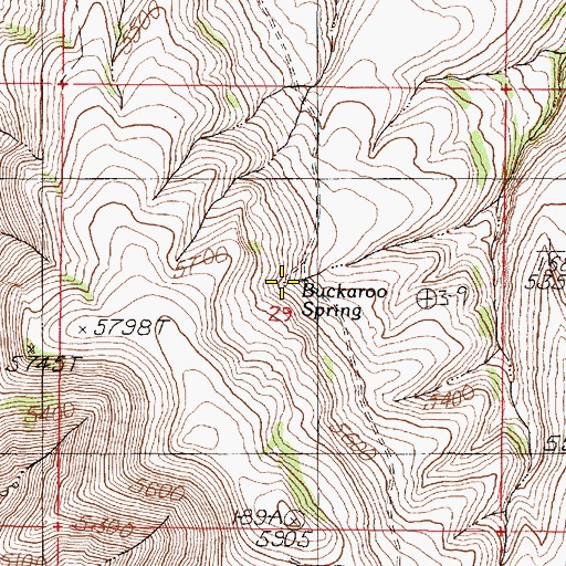 Topographic Map of Buckaroo Spring, OR