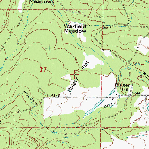 Topographic Map of Bulger Flat, OR