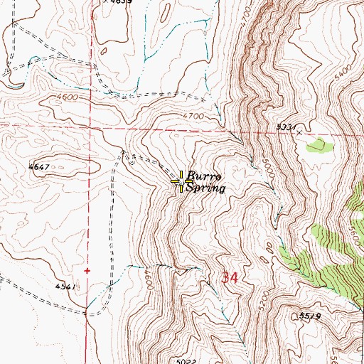Topographic Map of Burro Spring, OR