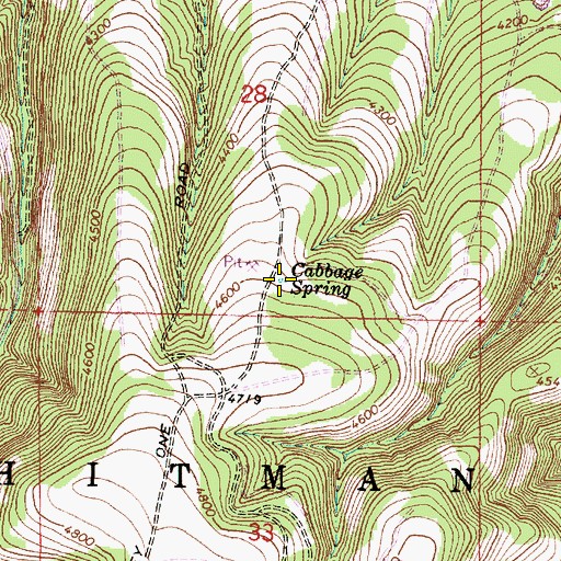 Topographic Map of Cabbage Spring, OR