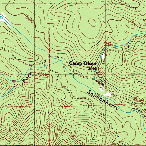 Topographic Map of Camp Olson, OR