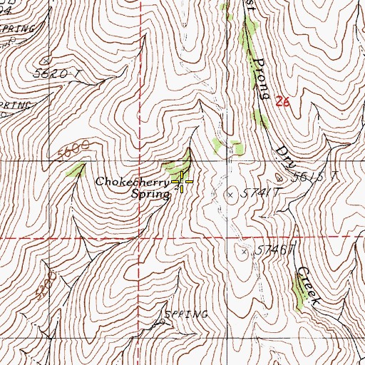 Topographic Map of Chokecherry Spring, OR