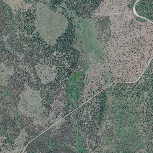 Aerial/Satellite Image of Coffeepot Spring, OR