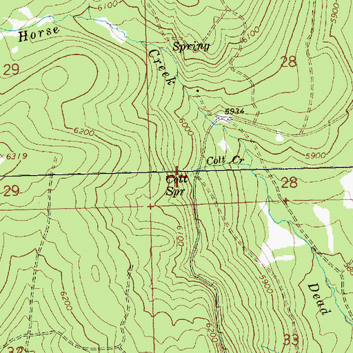 Topographic Map of Colt Spring, OR