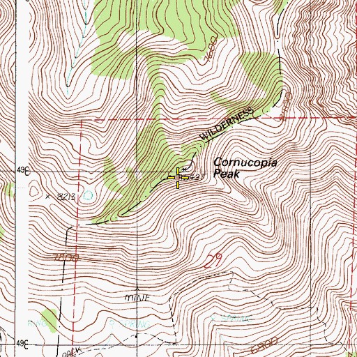 Topographic Map of Cornucopia Peak, OR