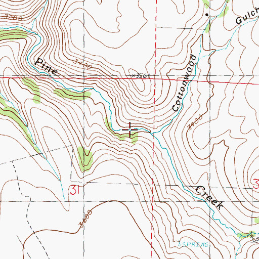 Topographic Map of Cottonwood Gulch, OR