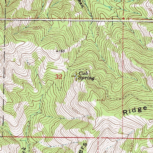 Topographic Map of Cub Spring, OR