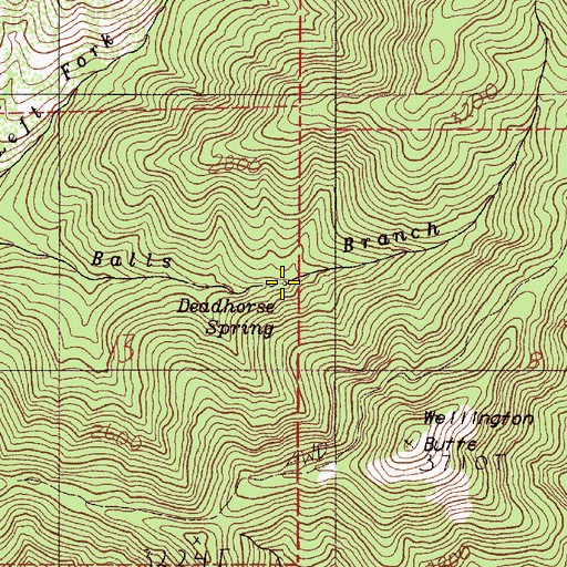Topographic Map of Deadhorse Spring, OR