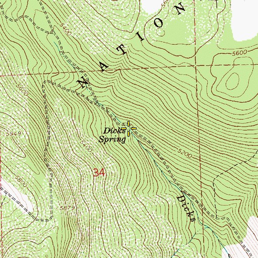 Topographic Map of Dicks Spring, OR