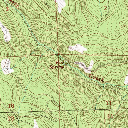 Topographic Map of Fir Spring, OR