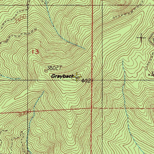 Topographic Map of Grayback, OR