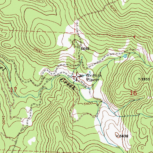 Topographic Map of Griffith Placer, OR