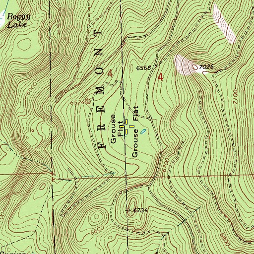 Topographic Map of Grouse Flat, OR