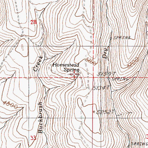 Topographic Map of Homestead Spring, OR