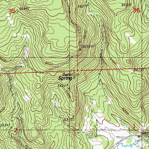 Topographic Map of June Spring, OR