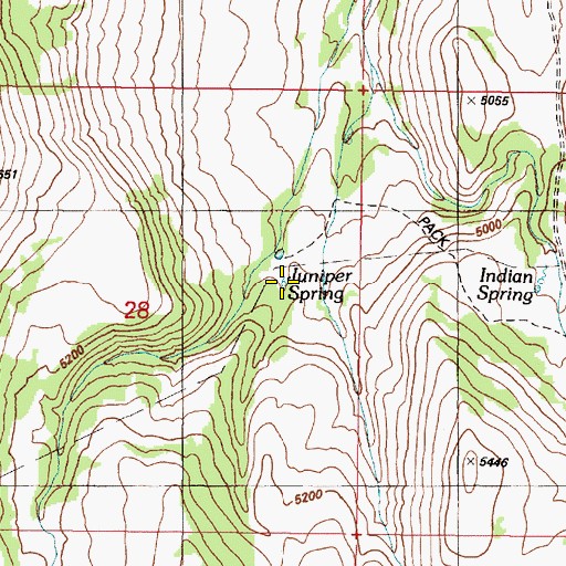 Topographic Map of Juniper Spring, OR