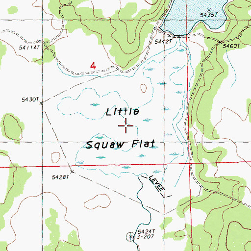 Topographic Map of Little Squaw Flat, OR