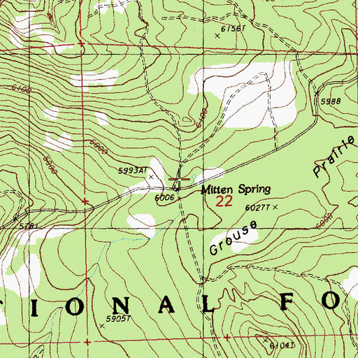 Topographic Map of Mitten Spring, OR