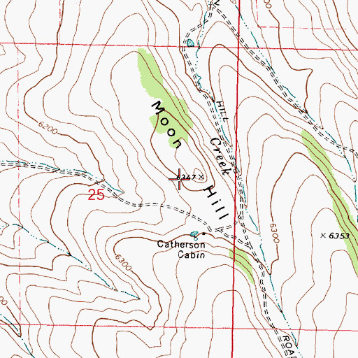Topographic Map of Moon Hill, OR