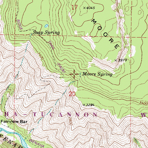 Topographic Map of Moore Spring, OR