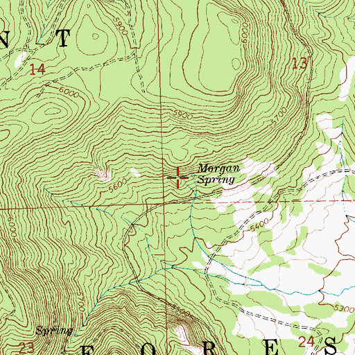 Topographic Map of Morgan Spring, OR