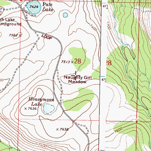 Topographic Map of Whorehouse Meadow, OR