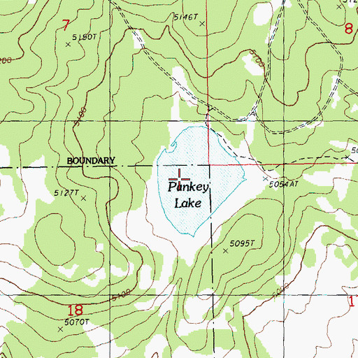 Topographic Map of Pankey Lake, OR