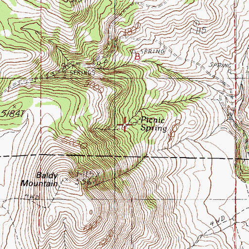 Topographic Map of Picnic Spring, OR