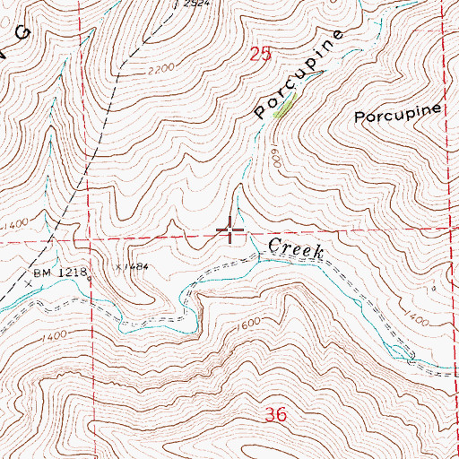Topographic Map of Porcupine Canyon, OR