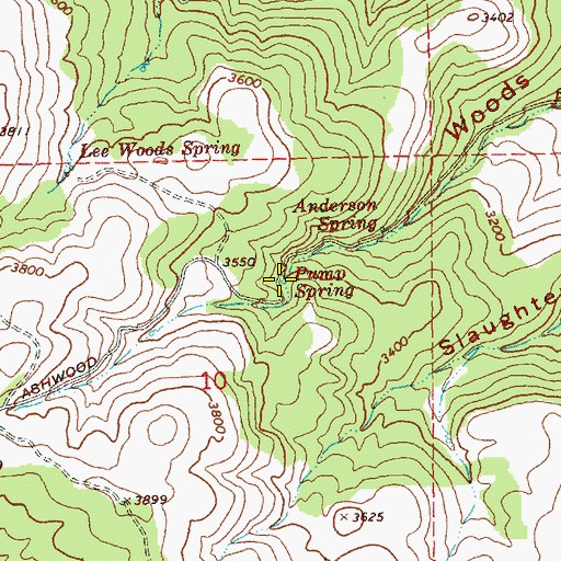 Topographic Map of Pump Spring, OR