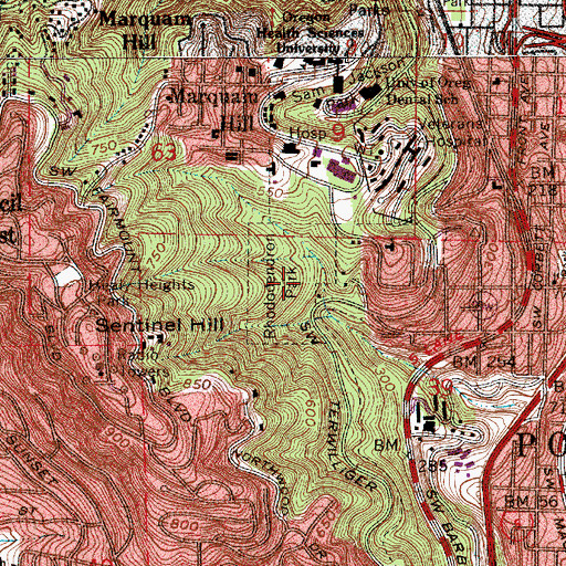 Topographic Map of Rhododendron Park, OR