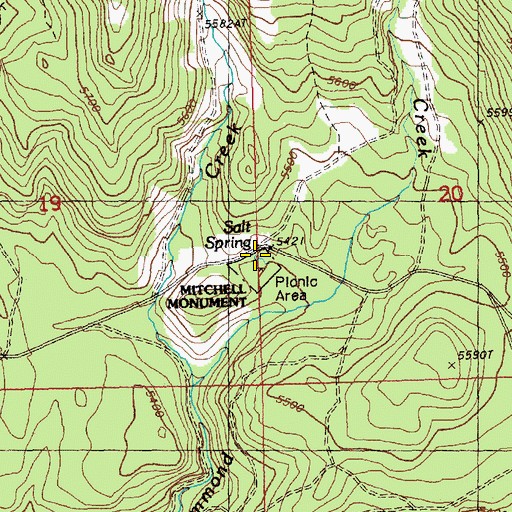 Topographic Map of Salt Spring, OR
