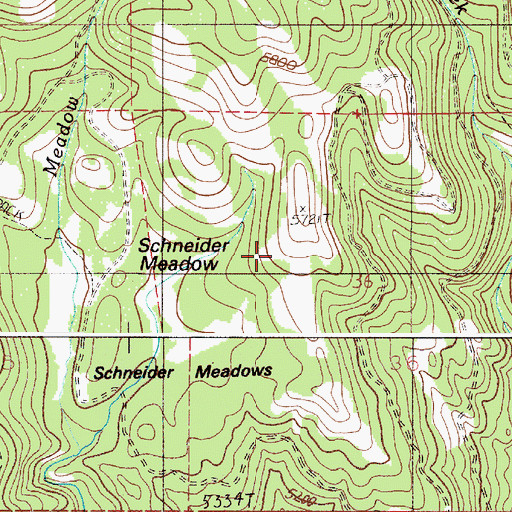 Topographic Map of Schneider Meadows, OR