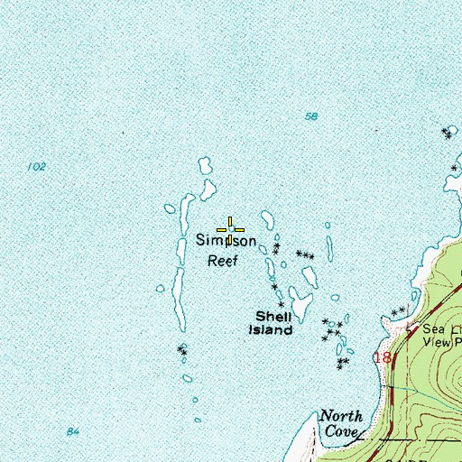 Topographic Map of Simpson Reef, OR