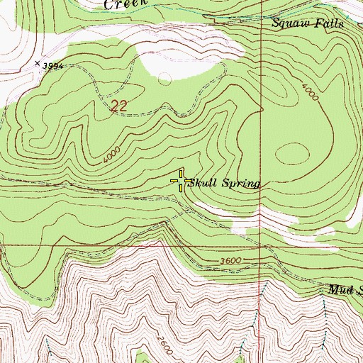 Topographic Map of Skull Spring, OR