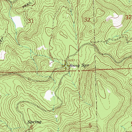 Topographic Map of Snag Spring, OR