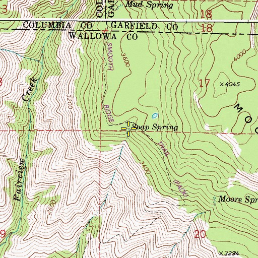 Topographic Map of Soap Spring, OR