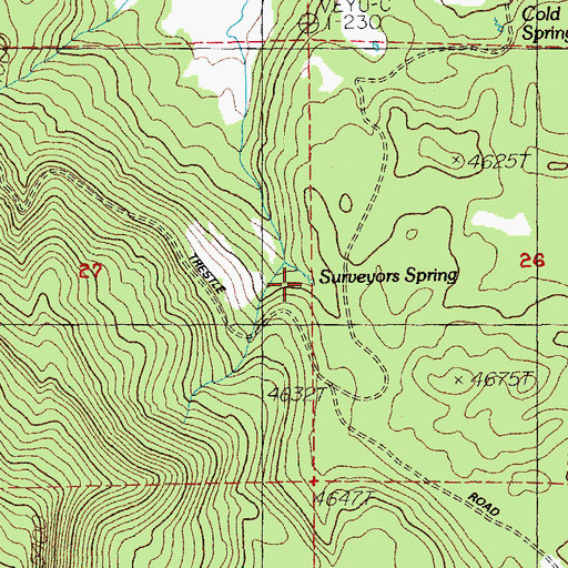 Topographic Map of Surveyors Spring, OR