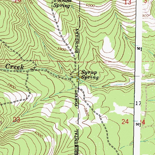 Topographic Map of Syrup Spring, OR