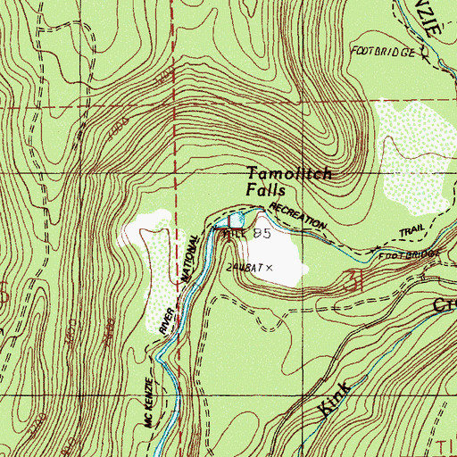 Topographic Map of Tamolitch Falls, OR