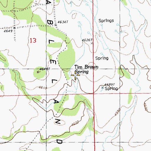 Topographic Map of Tim Brown Spring, OR
