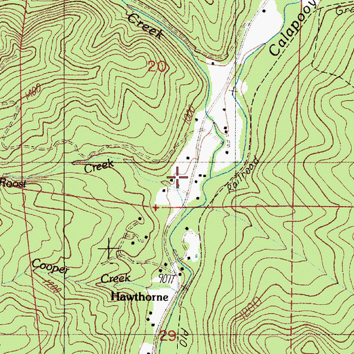 Topographic Map of Timothy Creek, OR