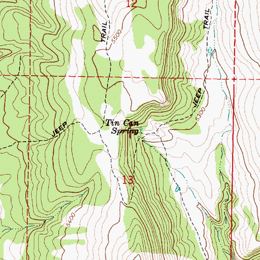 Topographic Map of Tin Can Spring, OR