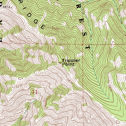 Topographic Map of Trippier Point, OR