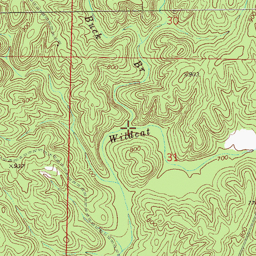 Topographic Map of Buck Branch, AL