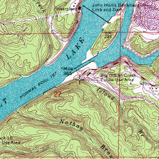 Topographic Map of Island Branch, AL