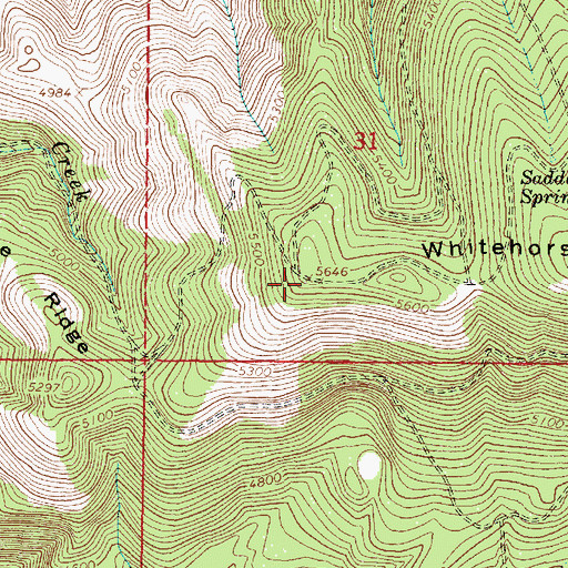 Topographic Map of Whitehorse Ridge, OR